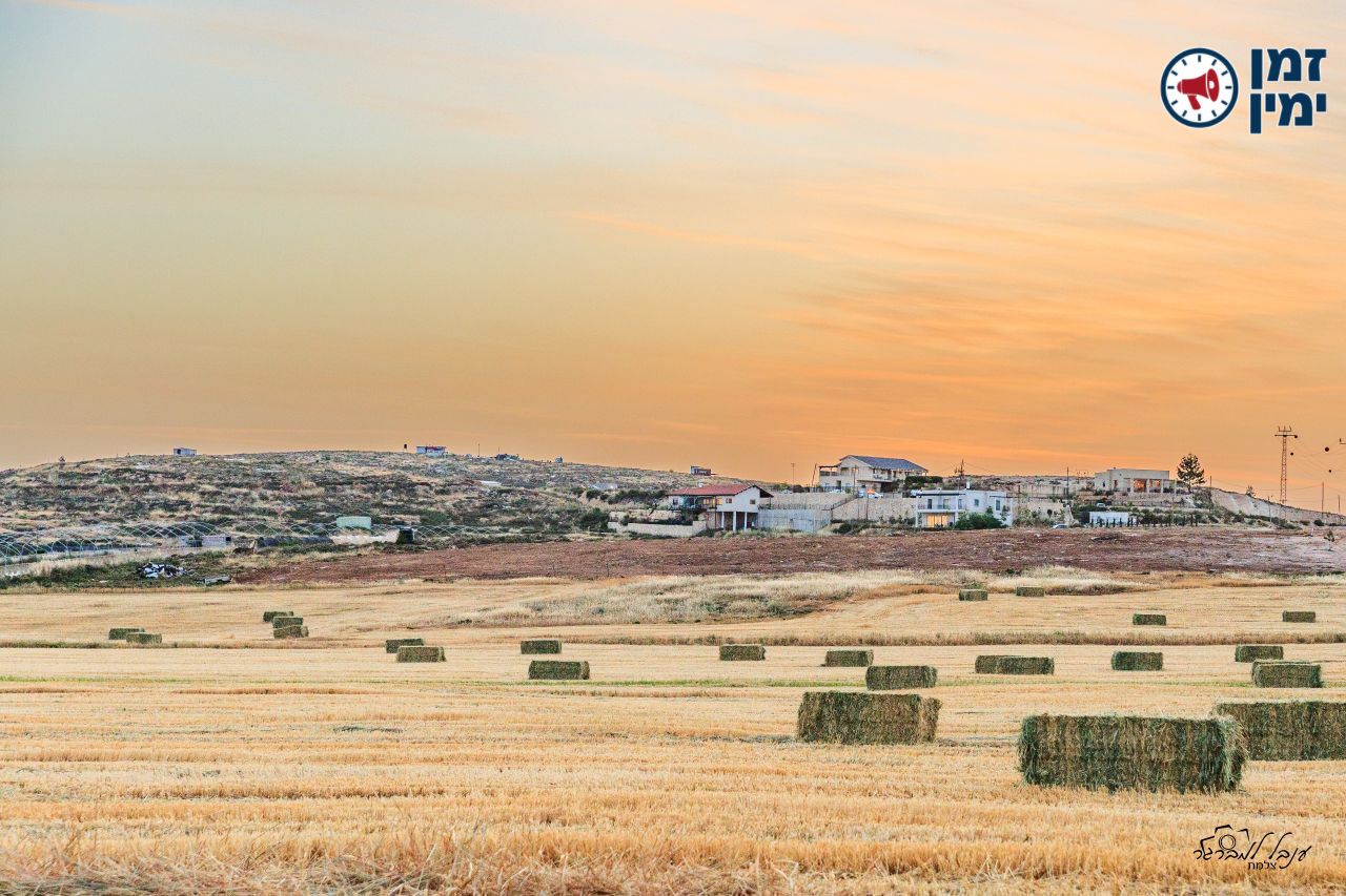 מרהיב: בלות בגבעות שילה🇮🇱 (ינון מגל)