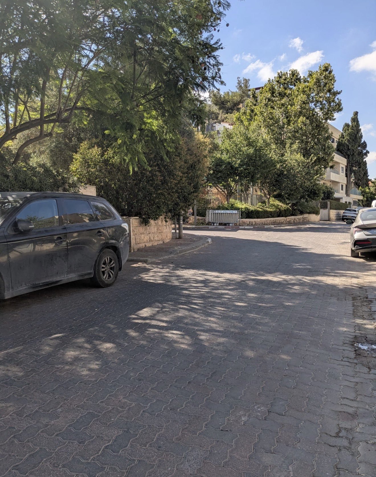 ביני אשכנזי: רה״מ נמצא בביתו של סיימון פאליק - הרחוב נחסם ואנשי שב״כ…