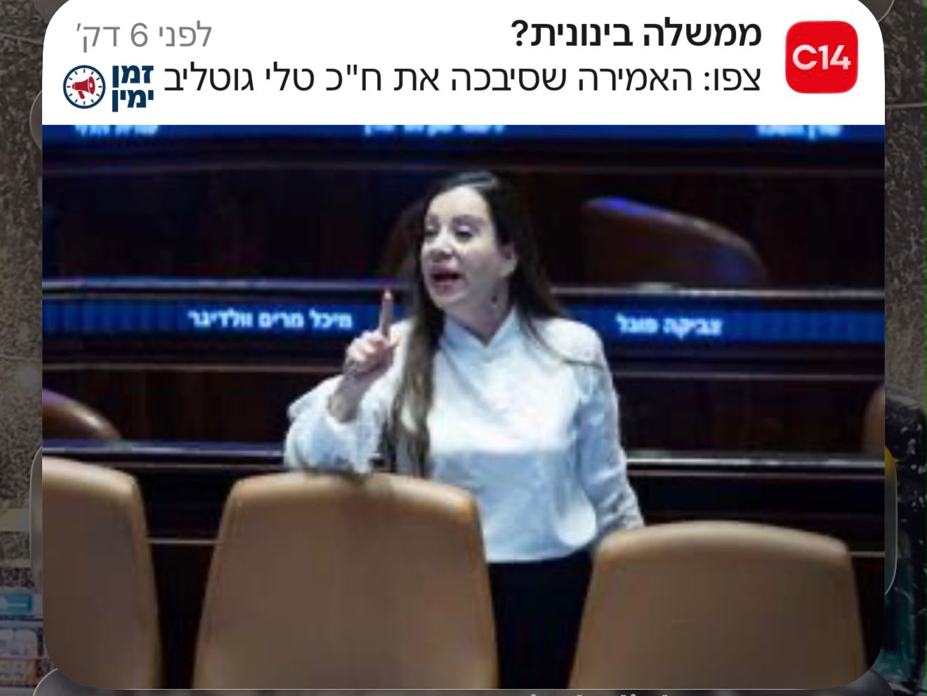 חרבות וסכינים: רגע לפני הפריימריז, הפאדיחה של טלי גוטליב עם הדברים שא…